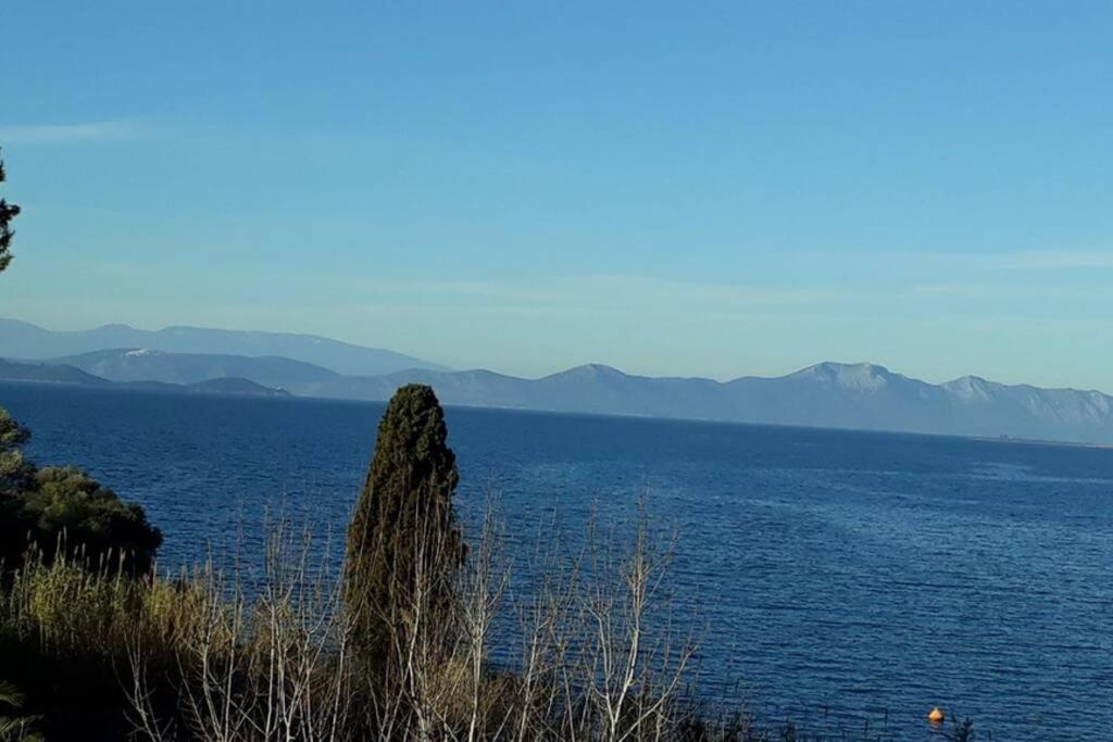 Amazing Sea View-Neos Pyrgos Beach -Evoia Greece Néos Pírgos Buitenkant foto