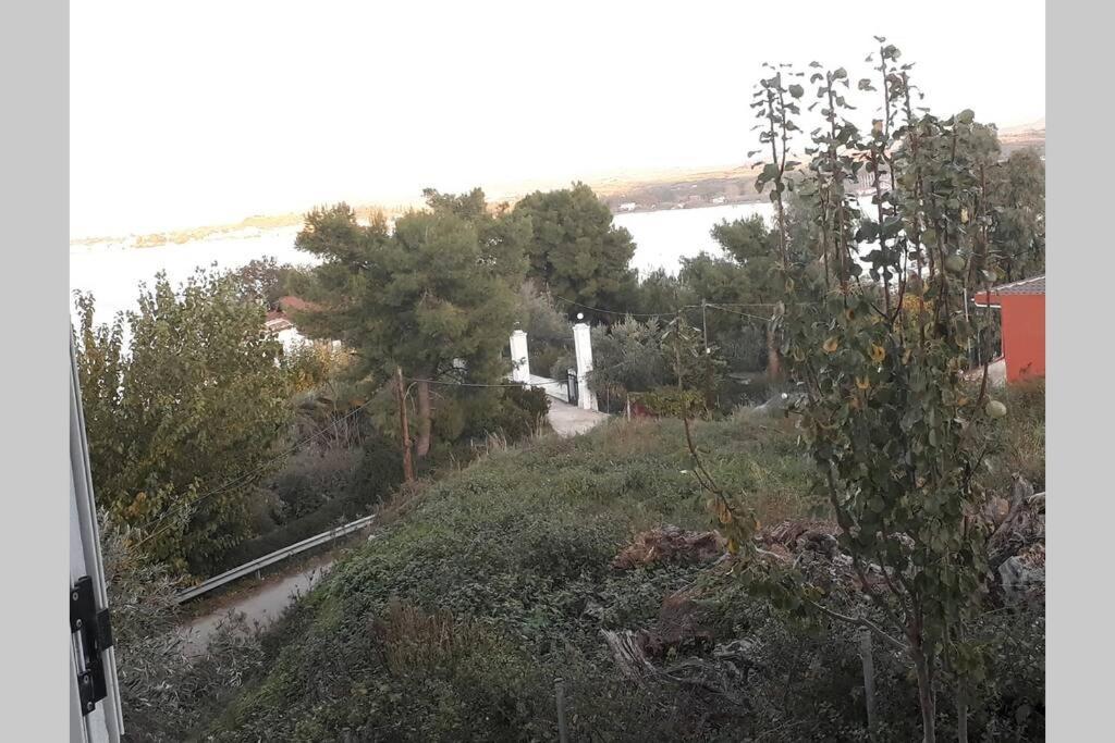 Amazing Sea View-Neos Pyrgos Beach -Evoia Greece Néos Pírgos Buitenkant foto